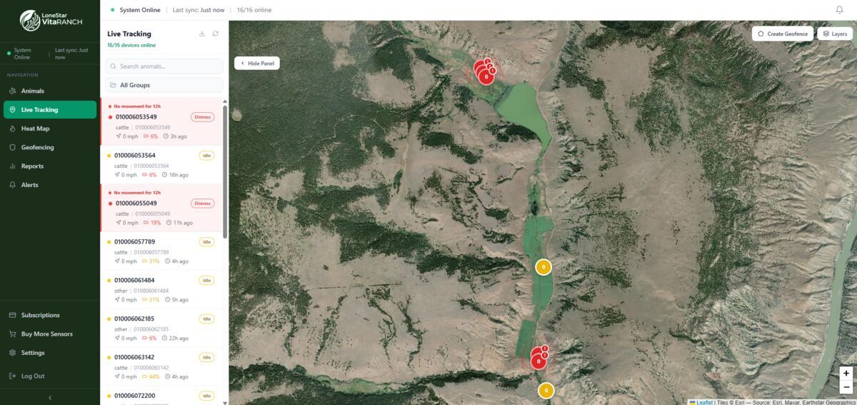 VitaRanch desktop tracking dashboard showing live satellite map with animal locations, geofences, and device status panel